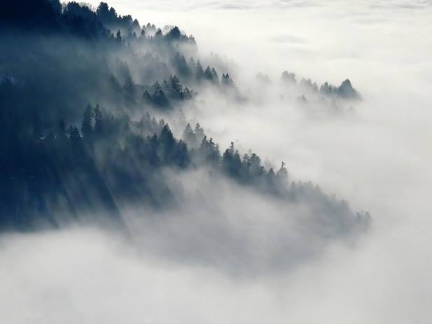 전립선암 선별검사